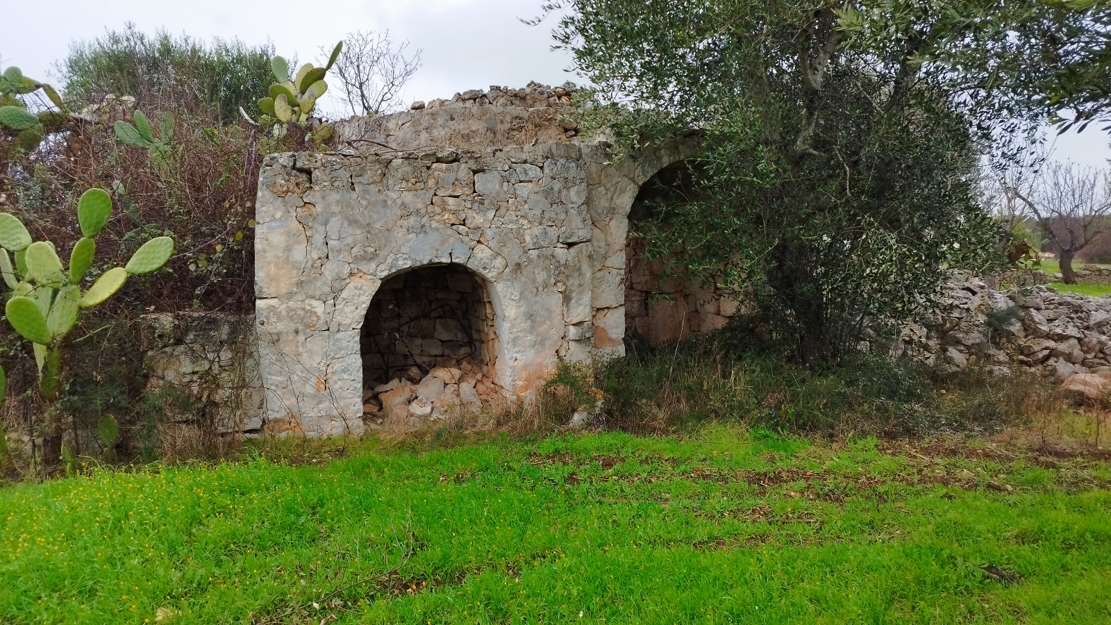 02/24 TERRENO EDIFICABILE CON TRULLO
