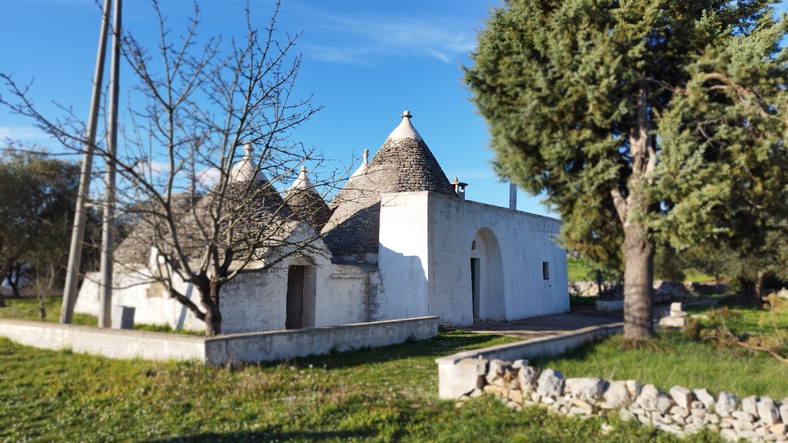 08/24 COMPLESSO DI TRULLI C.DA MARTELLOTTI