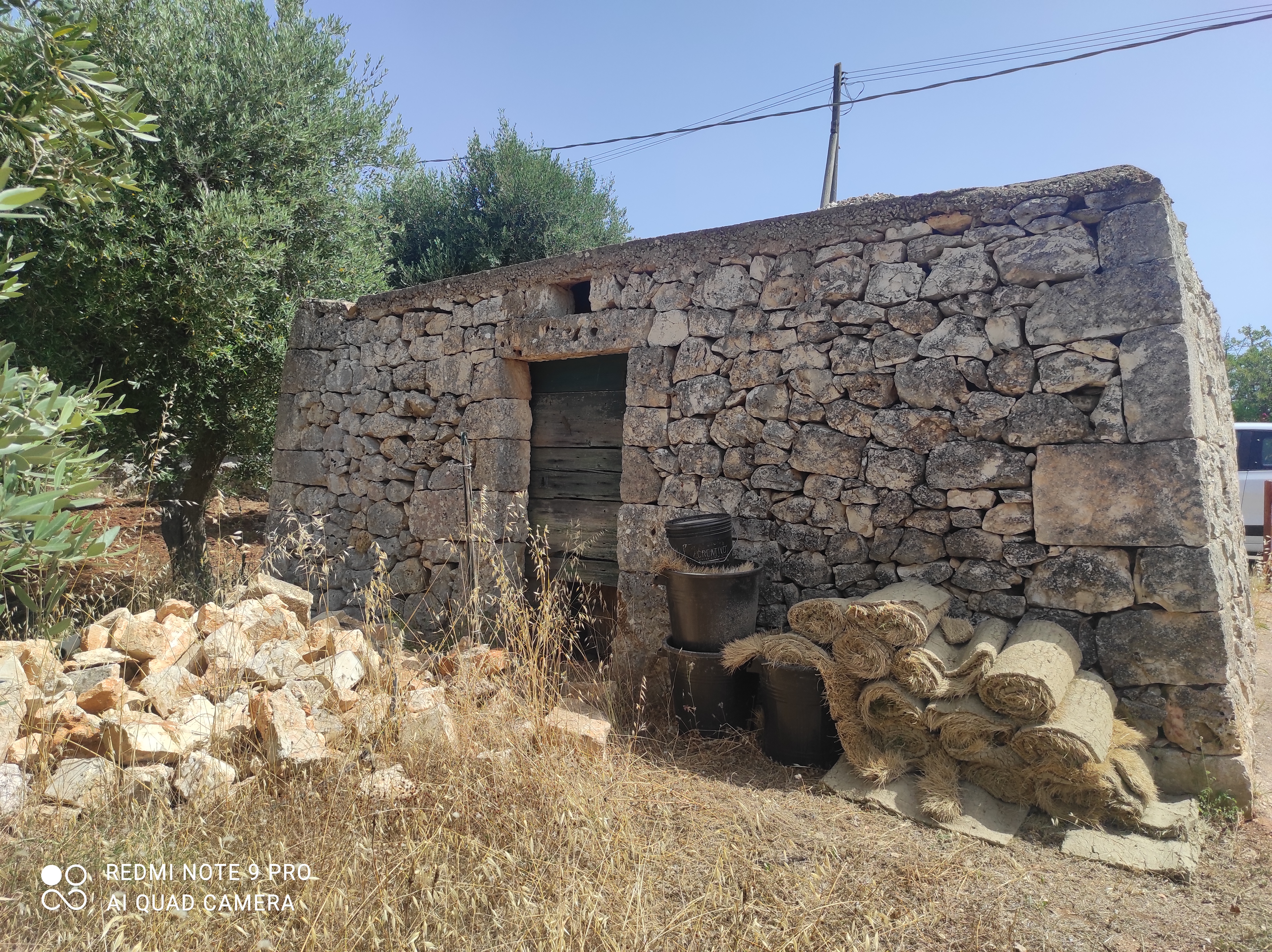 31/24 ANTICA LAMIA CON TRULLO