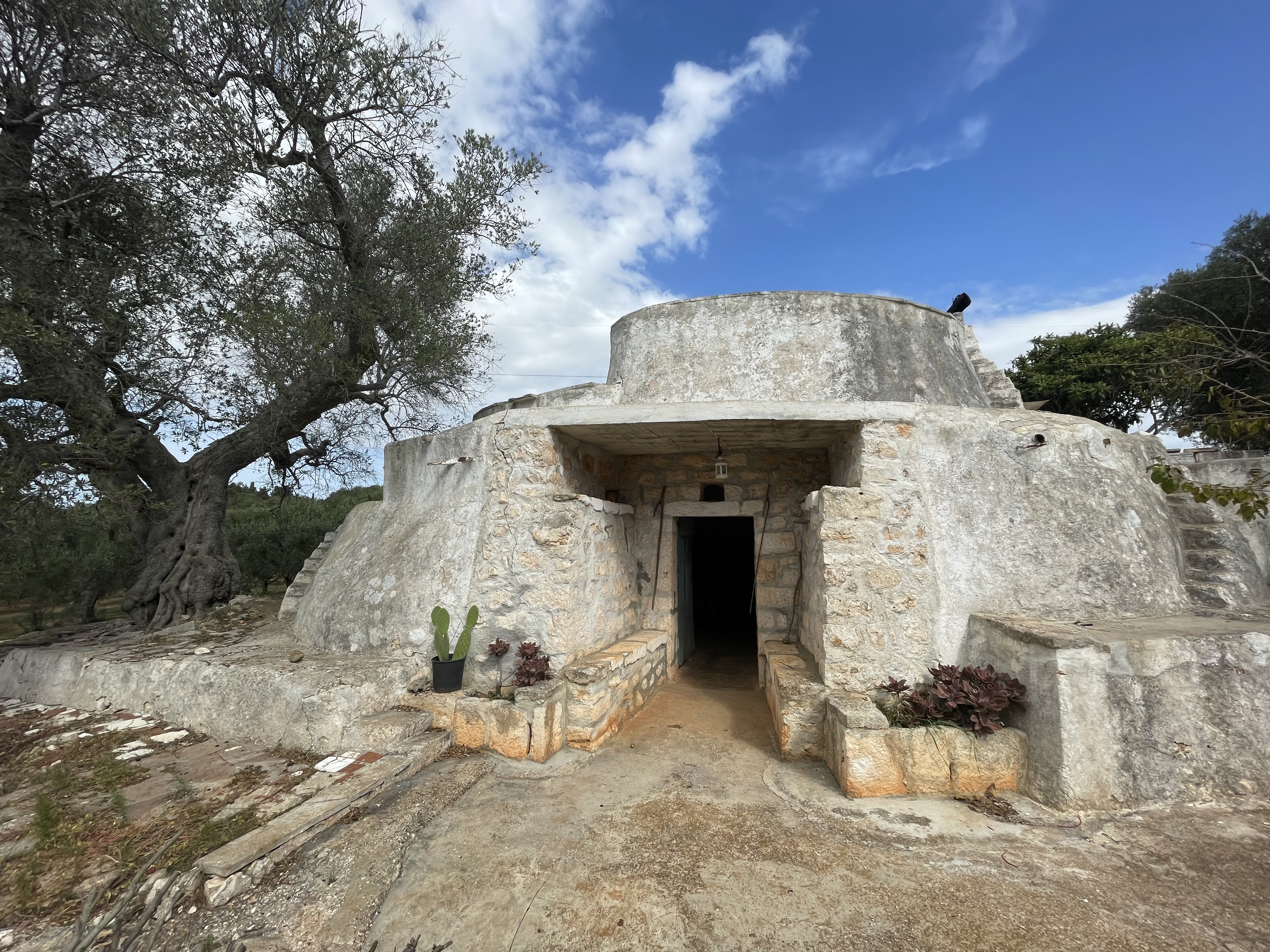 06/25 TRULLI IN C.DA VALLEGNA