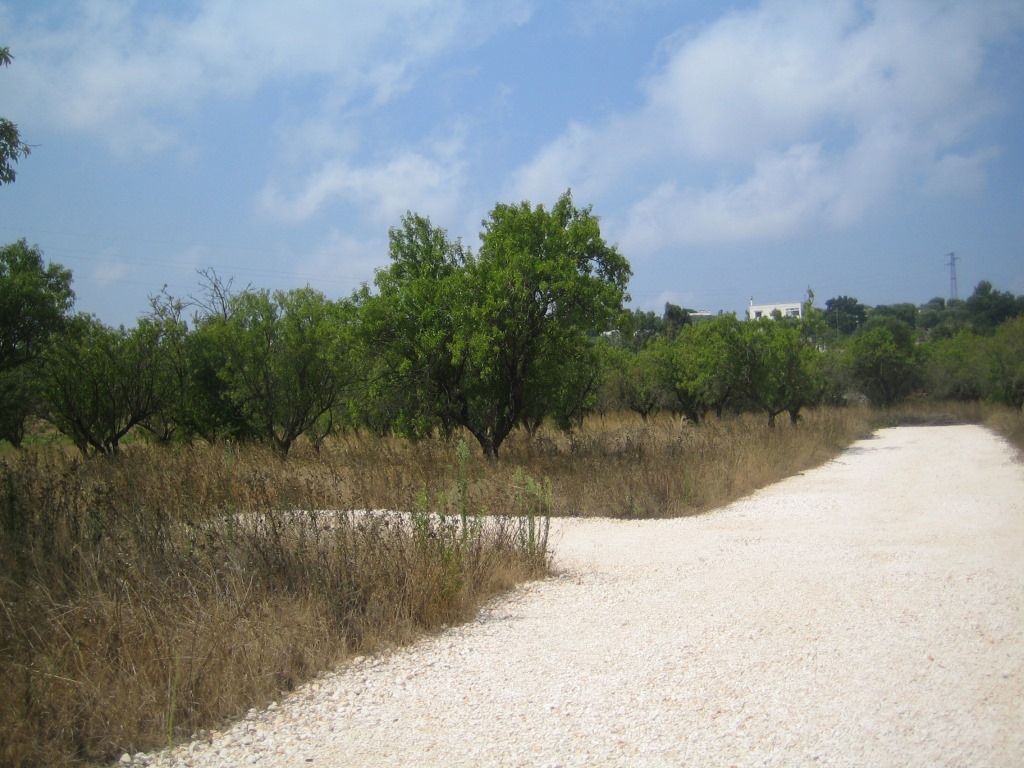 16/23 TERRENO IN C.DA MONTELAMORTE